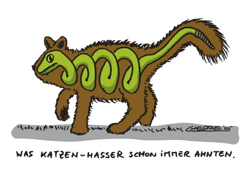 Chaesare, Chaesare Cartoons, Cartoon, Zeichnung, lustig, funny, joke, comic, lachen, witzig, fun, spaß, Unsinn, Katze, Schlange, Falschheit, Intrige, Lüge, Lügen, Katze, Katzen, Charakter, Charakterstudie, Psychologie, Sylt, Cartoon, Jour, Fixe