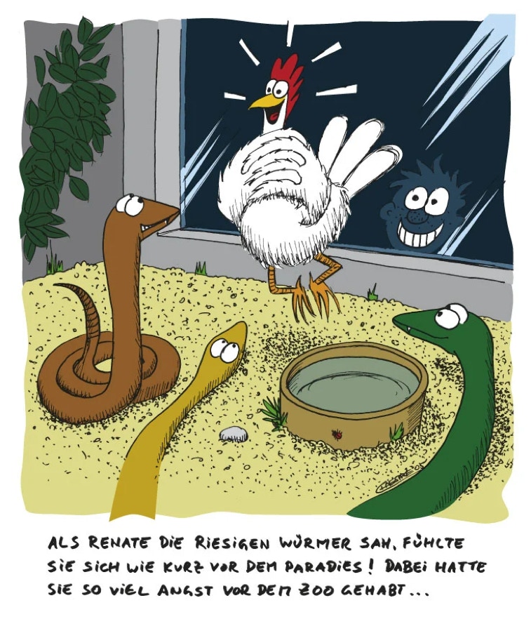 Chaesare, Chaesare Cartoons, Cartoon, Zeichnung, lustig, funny, joke, comic, lachen, witzig, fun, spaß, Unsinn, Huhn, Schlange, Hühner, Schlangen, Zoo, Ausstellung, Dummheit, Missverstanden, Missverständnis, Beute, fressen, verschlingen, Gift, Giftschlange, Giftschlangen, tot, fressen, gefressen, schlingen, Renate, Angst, Freude, tragisch, komisch, Futter, Futtertier, gefüttert, füttern, Sylt, Cartoon, Jour, Fixe