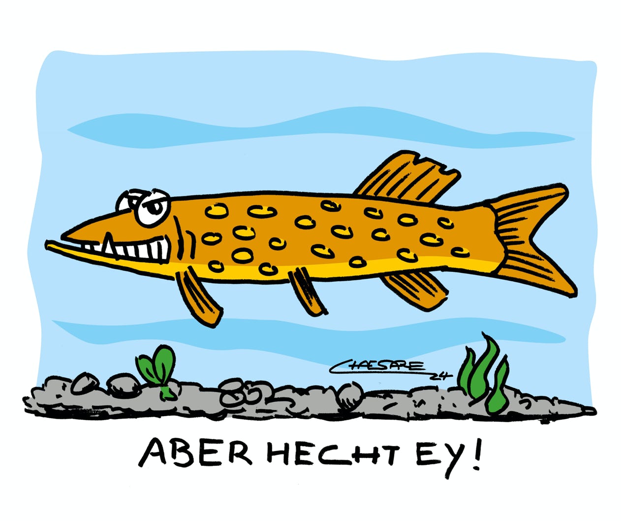 Chaesare, Chaesare Cartoons, Cartoon, Zeichnung, lustig, funny, joke, comic, lachen, witzig, fun, spaß, Unsinn, Hecht, jetzt, echt, wirklich, echtjetzt, verwunderung, aha. erlebnis, frage, fisch, aber, echt, jetzt, mal, schwimmen, fluss, fische, angeln, angelsport, angler, koeder, raubfisch, Sylt, Cartoon, Jour, Fixe