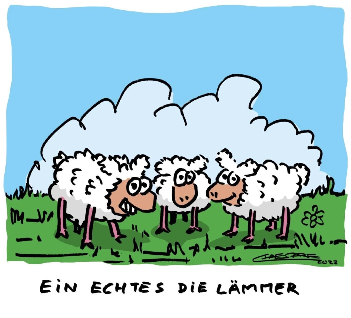 Chaesare, Chaesare Cartoons, Cartoon, Zeichnung, lustig, funny, joke, comic, lachen, witzig, fun, spaß, Unsinn, Schafe, Lämmer, Dilemma, echtes, echtes Dilemma, Schwierigkeit, sheep, Ostern, Osterlamm, Osterfest, Ostereier, Eier, Jesus, Oster, Osterwochenende, Osterrezept, Osterrezepte, Rezept, Rezepte, Lamm, Lammlachs, Essen, Osteressen, Sylt, Cartoon, Jour, Fixe